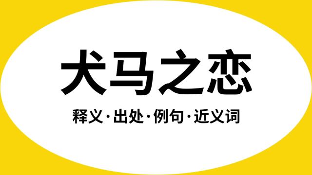 “犬马之恋”是什么意思?