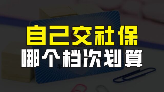 自己交社保的话,哪个档次最划算,这么交可以有效提高养老金待遇