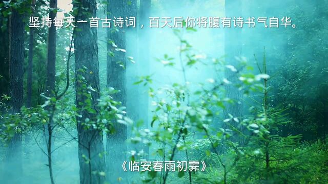 坚持每天一首古诗词《临安春雨初霁》