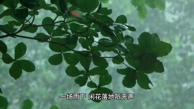 现代诗歌:春 雨