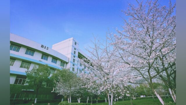 带你了解南京中医药大学