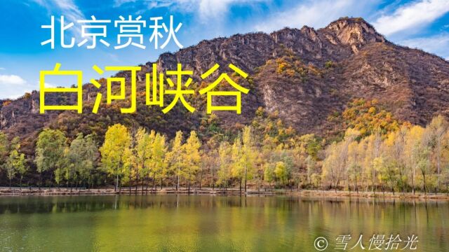 赏秋北京白河峡谷,百里山水画廊