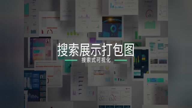 数据可视化实践指南:搜索展示打包图