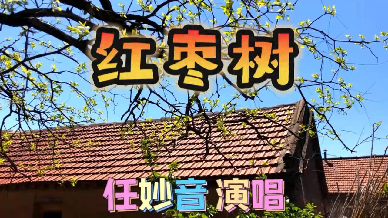 任妙音一首《红枣树》优美而抒情的旋律 温馨而难忘的童年记忆