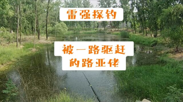 雷强探钓04:被一路驱赶的路亚佬(随便一个坑,只要放几条鱼就是养殖塘)