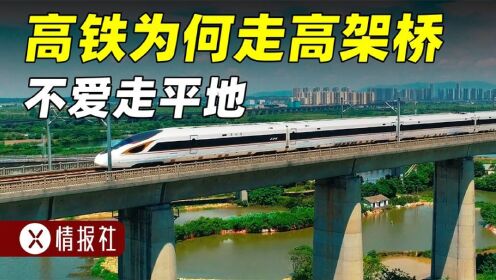 为何中国高铁不走平地，宁可多花千亿修高架桥？钱花得值吗？
