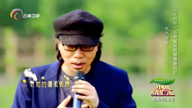 水木年华演唱《在他乡》,深情演唱,好听极了