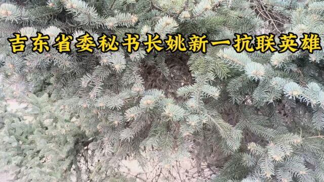 吉东省委秘书长姚新一抗联英雄