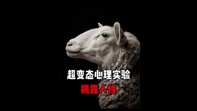 超变态心理实验:揭露人性!#心理学 #猎奇