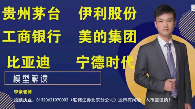 贵州茅台,伊利股份,工商银行,美的集团,比亚迪,宁德时代