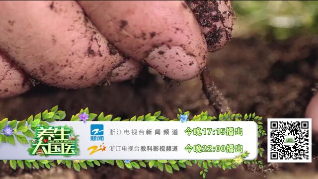 5.31《“鲜草”养生正当时》预告