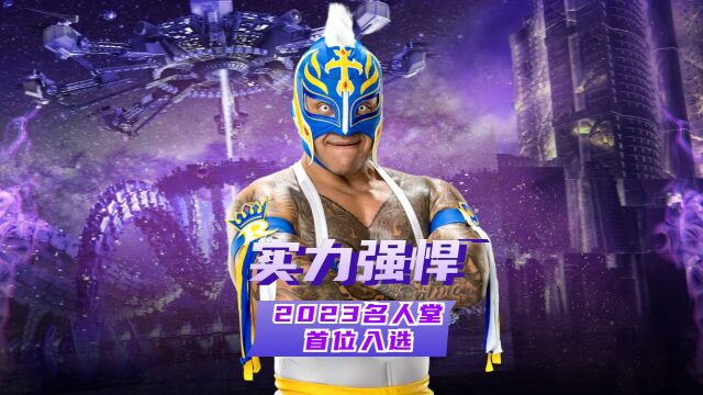 本年度WWE名人堂入选第一人