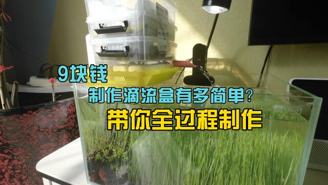 9块钱手工制作滴流盒过滤系统有多简单?带你看全过程制作流程