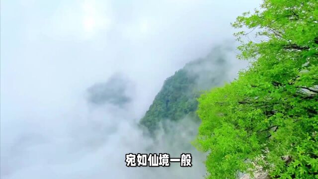 踏上云梦仙境之旅,享受远离喧嚣的山野生活