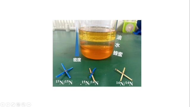 模拟实验:密度梯度离心法