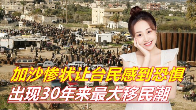 加沙现状让台民感到恐惧,出现30年来最大移民潮