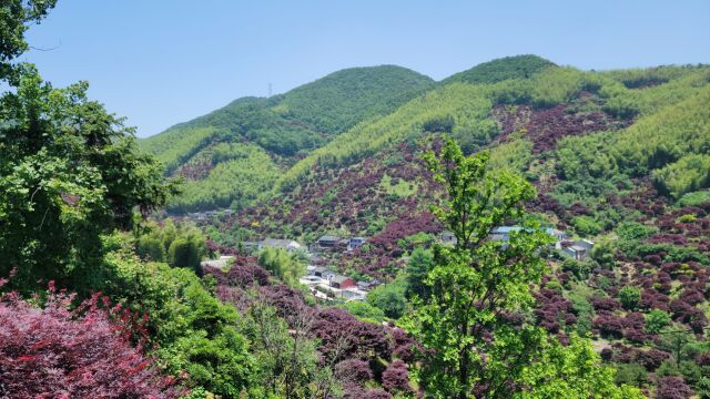 浙江雪窦山中的避世桃源,清溪叠瀑古道红枫谷,堪称治愈系的风景