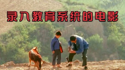一部感动无数中国人的电影，被破格录入教学系统！ #真实故事改编 #背着爸爸上学