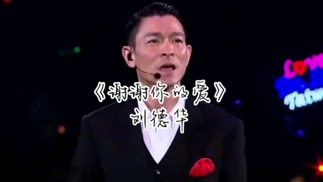 刘德华《谢谢你的爱》回忆经典歌曲歌曲视频音乐MV