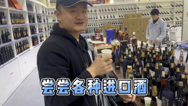 尝尝各种进口葡萄酒,格鲁吉亚意大利法国各种口味,哪一款适合你