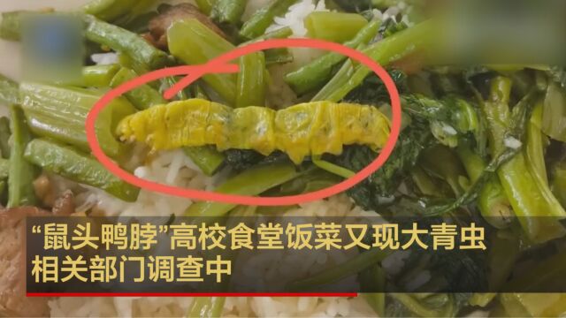 “鼠头鸭脖”高校食堂饭菜又现大青虫 相关部门调查中