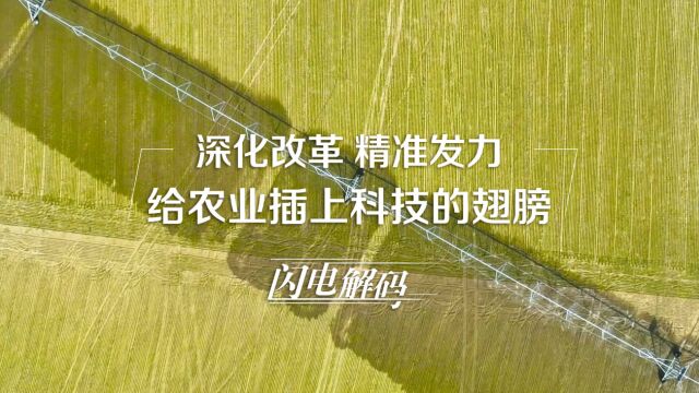 闪电解码丨深化改革 精准发力 给农业插上科技的翅膀