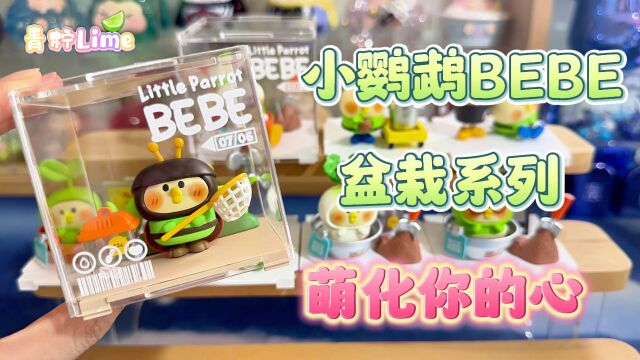 小鹦鹉BEBE盆栽系列微盒!