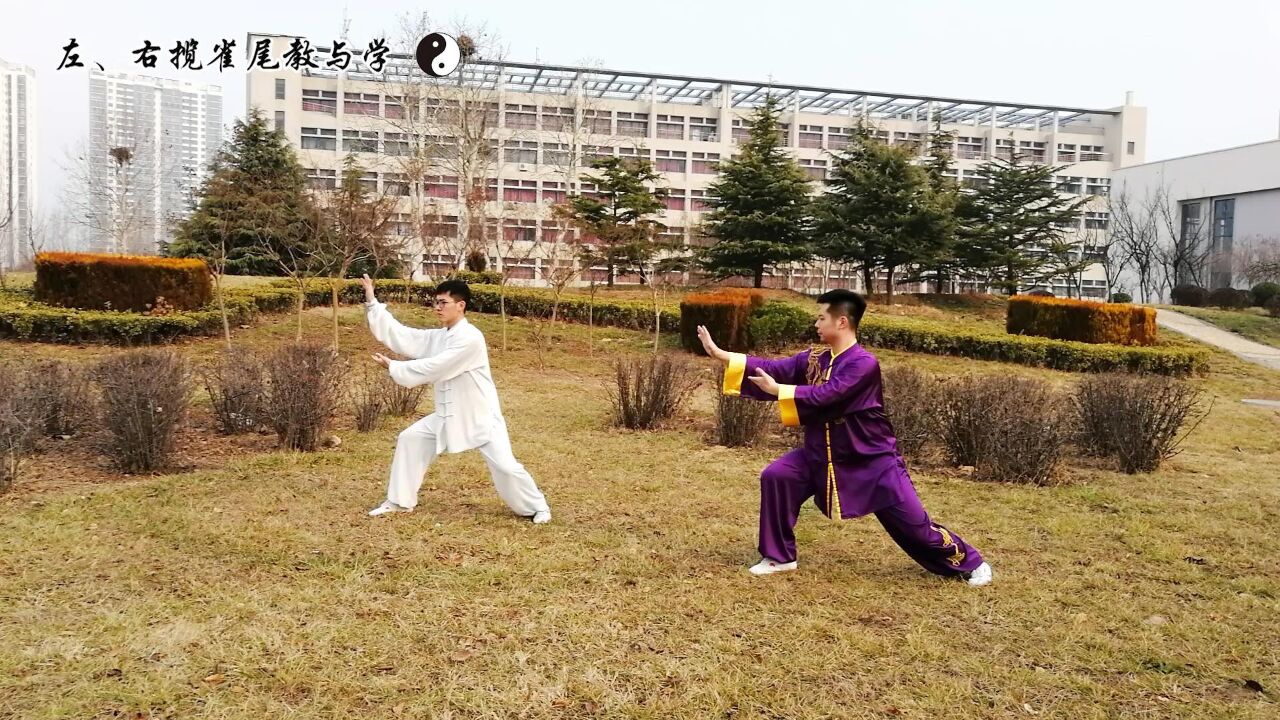 24式太极拳教与学_24式太极拳第三组动作教与学：左揽雀尾、右揽雀尾_高清1080P在线观看平台_腾讯视频