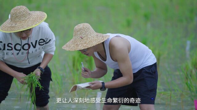 华南农业大学丁颖创新班宣传视频