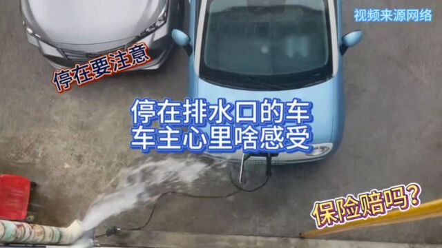 无意停在排水口的车 车主心里啥感受 保险公司会理赔吗?