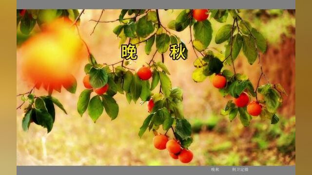 运城农村秋天,忙碌农民与秋色,构成山乡美景