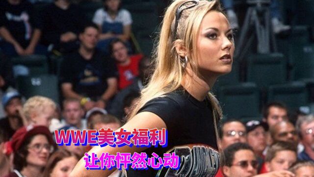 WWE美女福利,让你怦然心动!