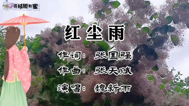 歌曲《红尘雨》,演唱:魏新雨