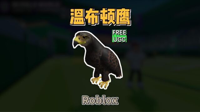 【Roblox】温布顿鹰获得介绍