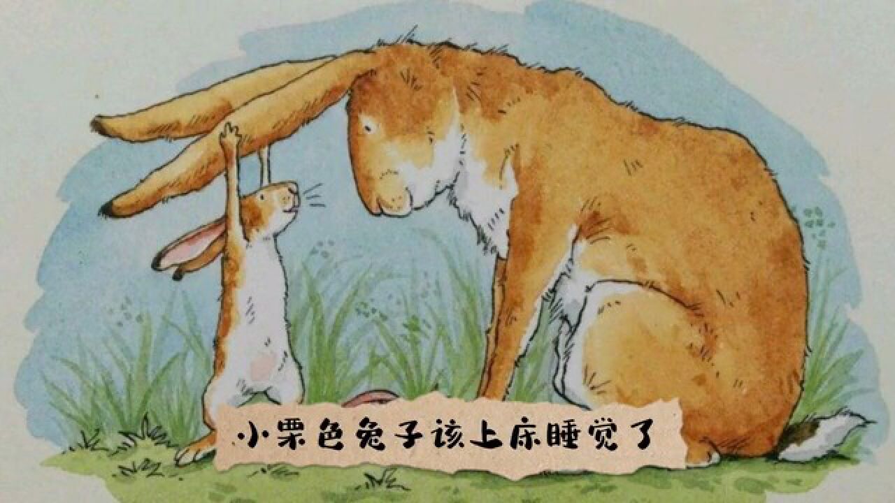 绘本《猜猜我有多爱你》_高清