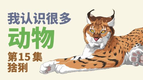 第15集猞猁_第15集猞猁_少儿_动画片大全_腾讯视频