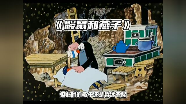 小时候看鼹鼠的故事,特别喜欢鼹鼠的小窝.鼹鼠的故事怀旧动画童年动画遇见醉美宿迁