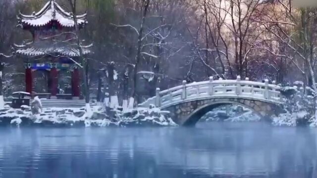 满山玉树琼花,松柏银装素裹!辽宁本溪水洞雪后美景宛若仙境