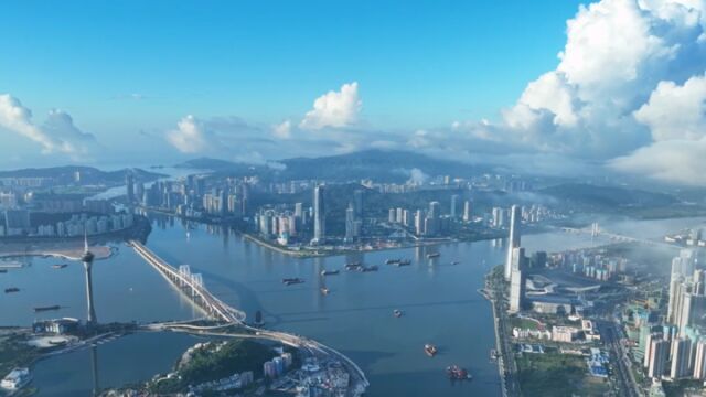 粤港澳大湾区给浙江民营经济带来什么?潮新闻对话天能控股集团董事长张天任