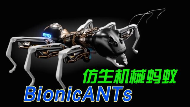 仿生蚂蚁BionicANTs,会沟通合作的机器蚂蚁 !