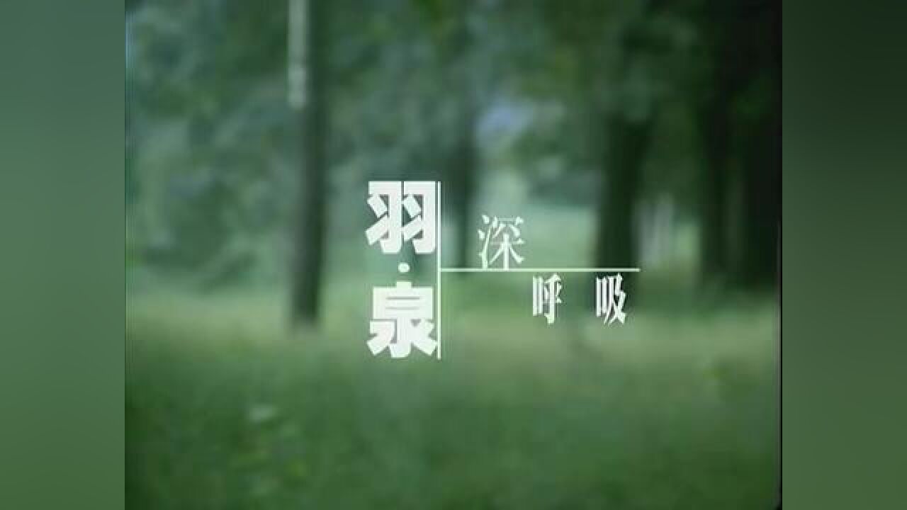 羽泉 #深呼吸 mv修复版#一代人的回忆 #胡海泉 #陈羽凡