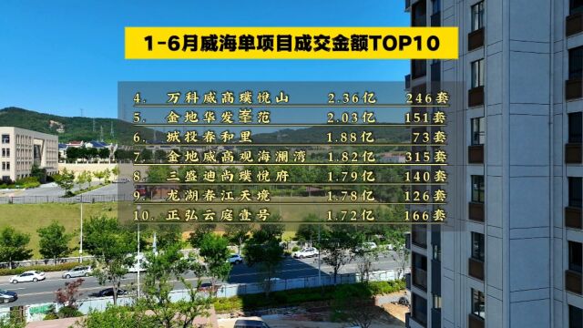 2023年上半年威海房企和单项目成交金额TOP10