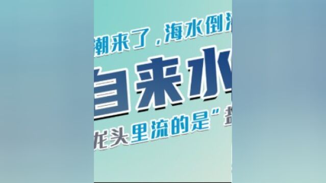 海水倒灌,水龙头里流的是“盐水”?自来水都要净化,没必要担心