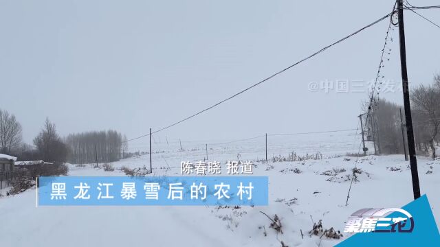 聚焦三农丨黑龙江暴雪后的农村