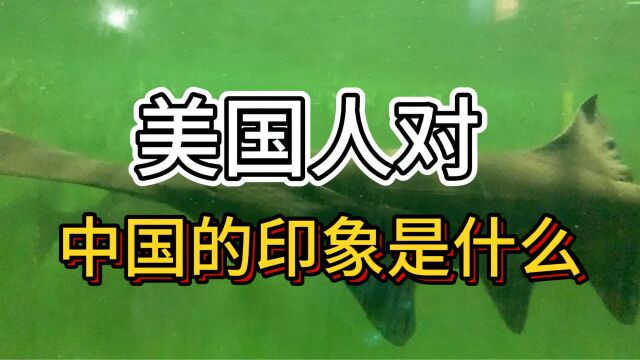 美国人对中国的印象是什么与日韩两个国家相比,谁的影响更大