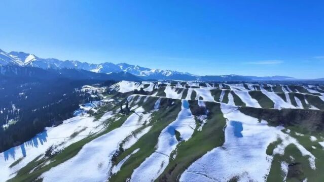 这个村红色传承有想法:闲置幼儿园改建教育基地