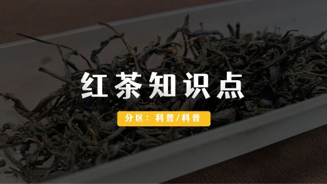 红茶的十大基本知识点