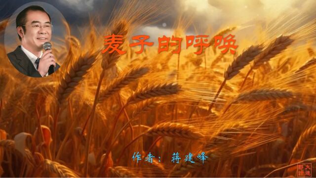 《麦子的呼唤》作者:蒋建峰 诵读:大连伙计