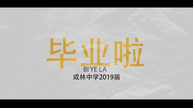 陕西省渭南市华州区咸林中学2019届高三毕业相册