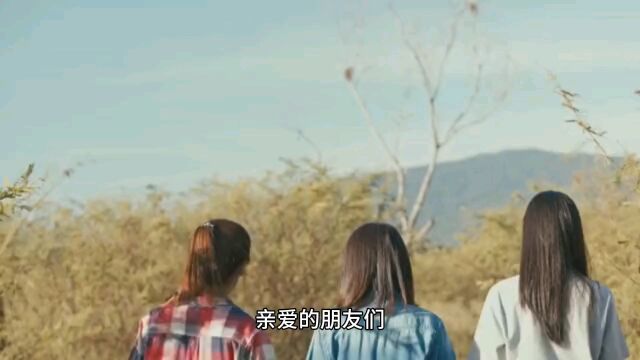 追逐梦想,勇敢前行